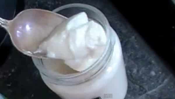 Yogurt Casero