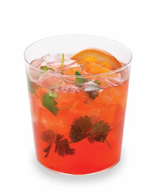 Cóctel negroni con cilantro